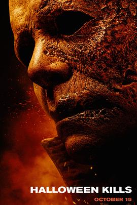 怎么建立优化网站平台呢